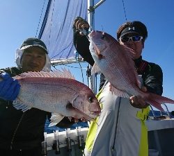 海龍丸（福岡） 釣果