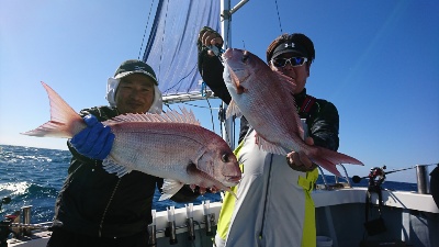 海龍丸（福岡） 釣果
