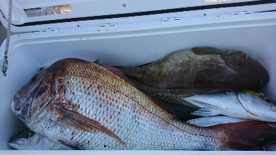 海龍丸（福岡） 釣果