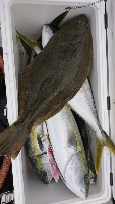 海龍丸（福岡） 釣果