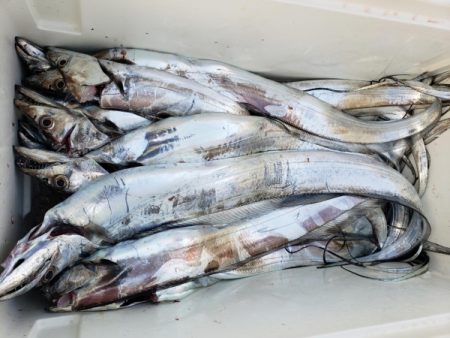 オーフリー 釣果