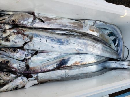 オーフリー 釣果