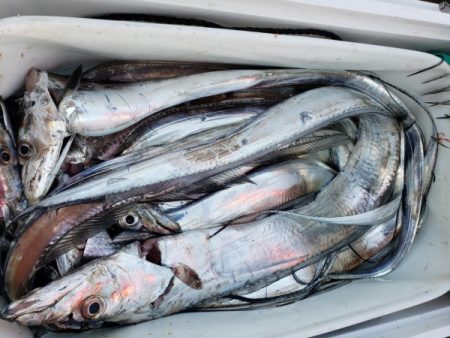 オーフリー 釣果