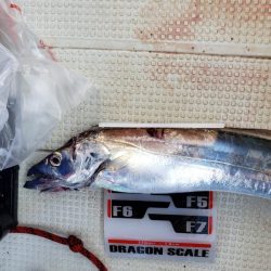 オーフリー 釣果