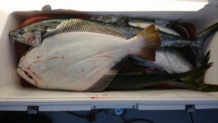 海龍丸(福岡) 釣果