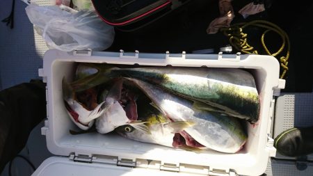 海龍丸(福岡) 釣果