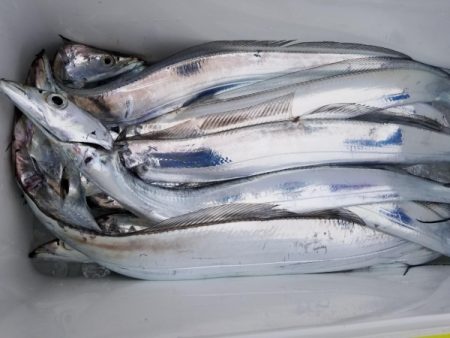 オーフリー 釣果