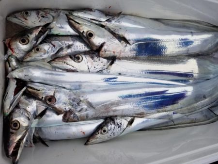 オーフリー 釣果