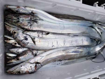 オーフリー 釣果