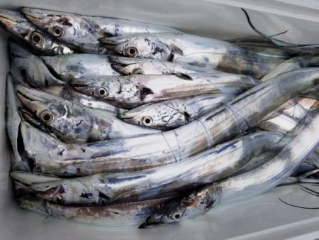 オーフリー 釣果