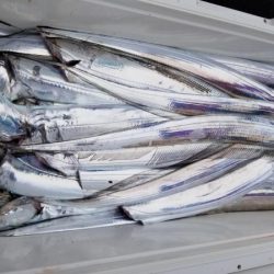 オーフリー 釣果