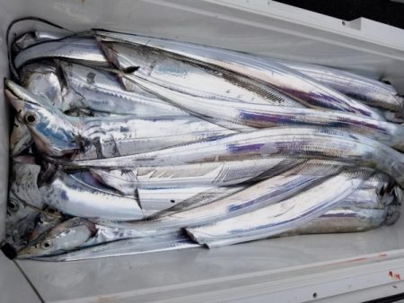 オーフリー 釣果