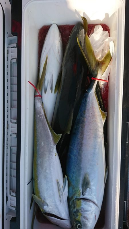 海龍丸（福岡） 釣果