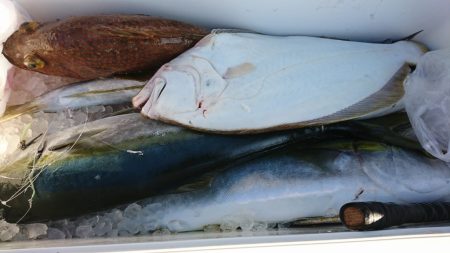 海龍丸（福岡） 釣果