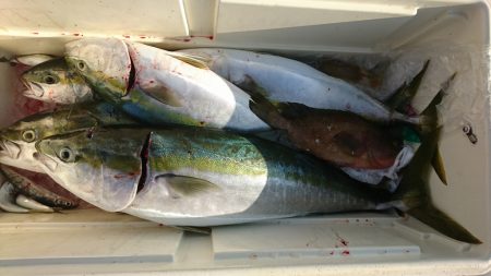 海龍丸（福岡） 釣果