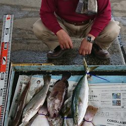 明神釣船 釣果