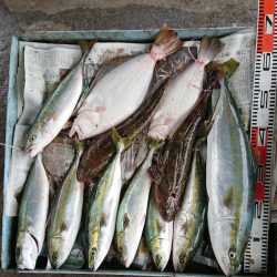 明神釣船 釣果