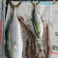 明神釣船 釣果