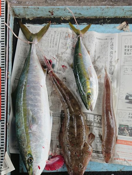 明神釣船 釣果