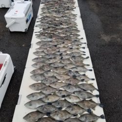 オーフリー 釣果