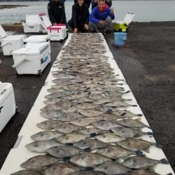 オーフリー 釣果