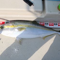 松本釣船２ 釣果