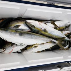 オーフリー 釣果