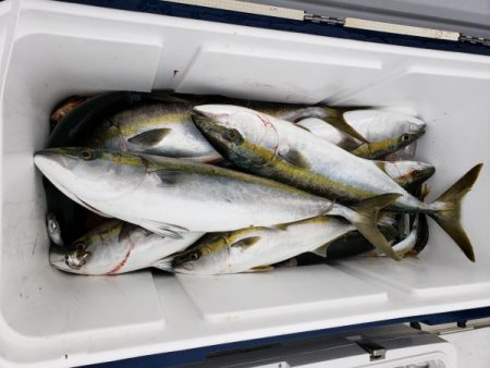 オーフリー 釣果