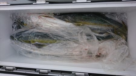 海龍丸(福岡) 釣果