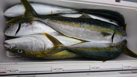 海龍丸(福岡) 釣果