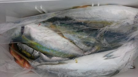 海龍丸(福岡) 釣果