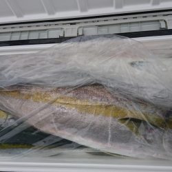 海龍丸(福岡) 釣果