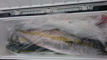 海龍丸(福岡) 釣果