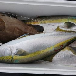 海龍丸(福岡) 釣果