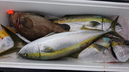 海龍丸(福岡) 釣果