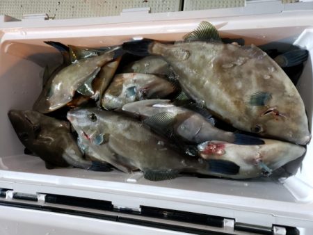 オーフリー 釣果