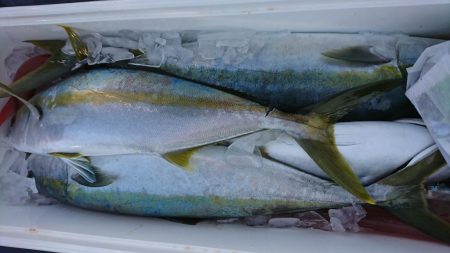 海龍丸(福岡) 釣果