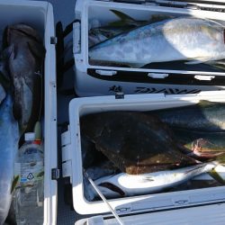 海龍丸(福岡) 釣果