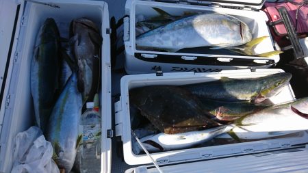 海龍丸(福岡) 釣果