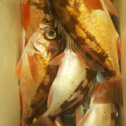 モンロー号 釣果