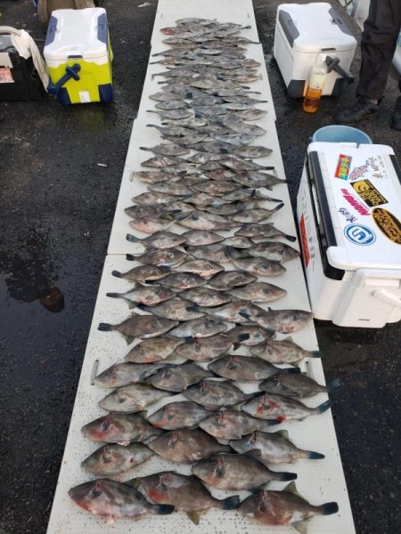 オーフリー 釣果