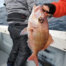 珀宝丸 釣果
