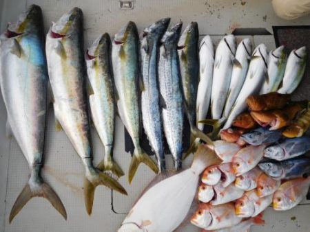 第二一之紀丸(ダイニイチノキマル) 釣果