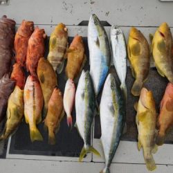 第二一之紀丸(ダイニイチノキマル) 釣果