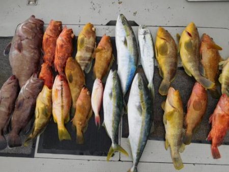 第二一之紀丸(ダイニイチノキマル) 釣果