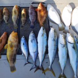 第二一之紀丸(ダイニイチノキマル) 釣果