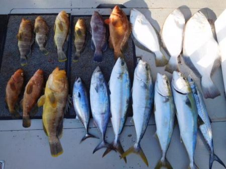 第二一之紀丸（ダイニイチノキマル） 釣果