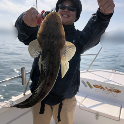 Magic(マジック) 釣果