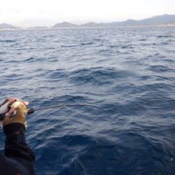 開進丸 釣果