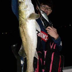 Marine T Design マリンティーデザイン 釣果